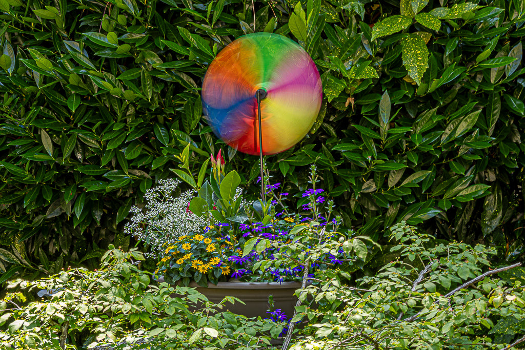 Colorful rainbow pinwheel spinning above a flower-filled planter surrounded by dense lush green foliage.
