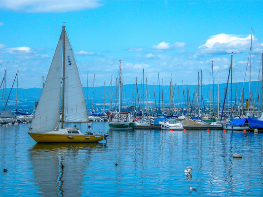 Sailboat in a marina under a bright blue sky.