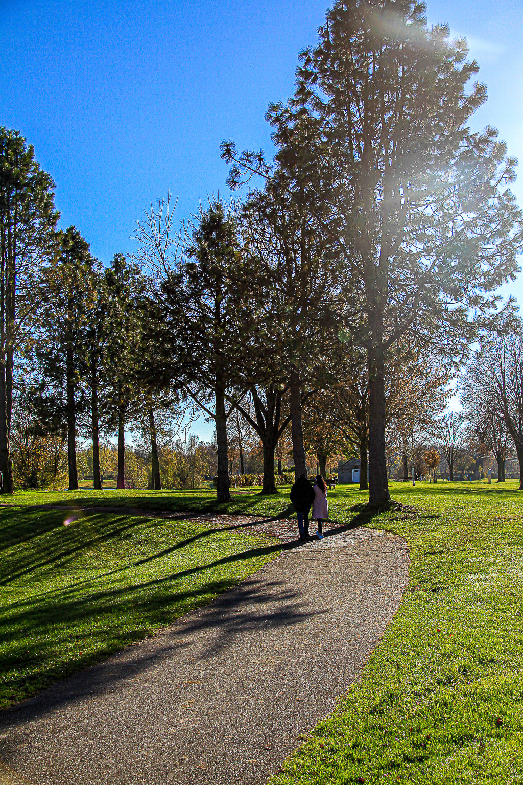 Two people walking on a curving park path under tall trees with bright sun flare and long shadows.