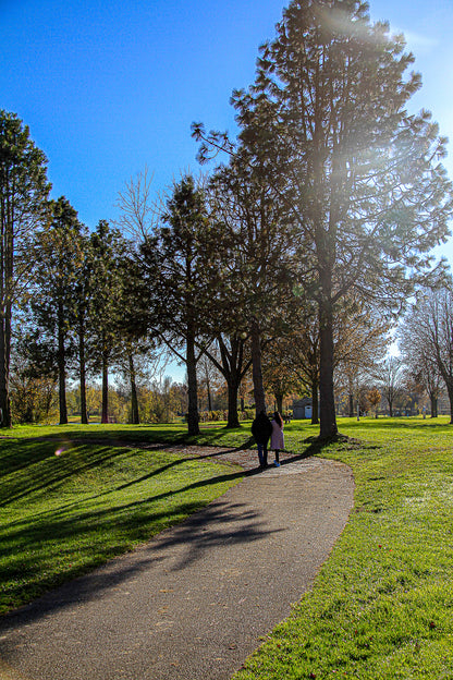Two people walking on a curving park path under tall trees with bright sun flare and long shadows.