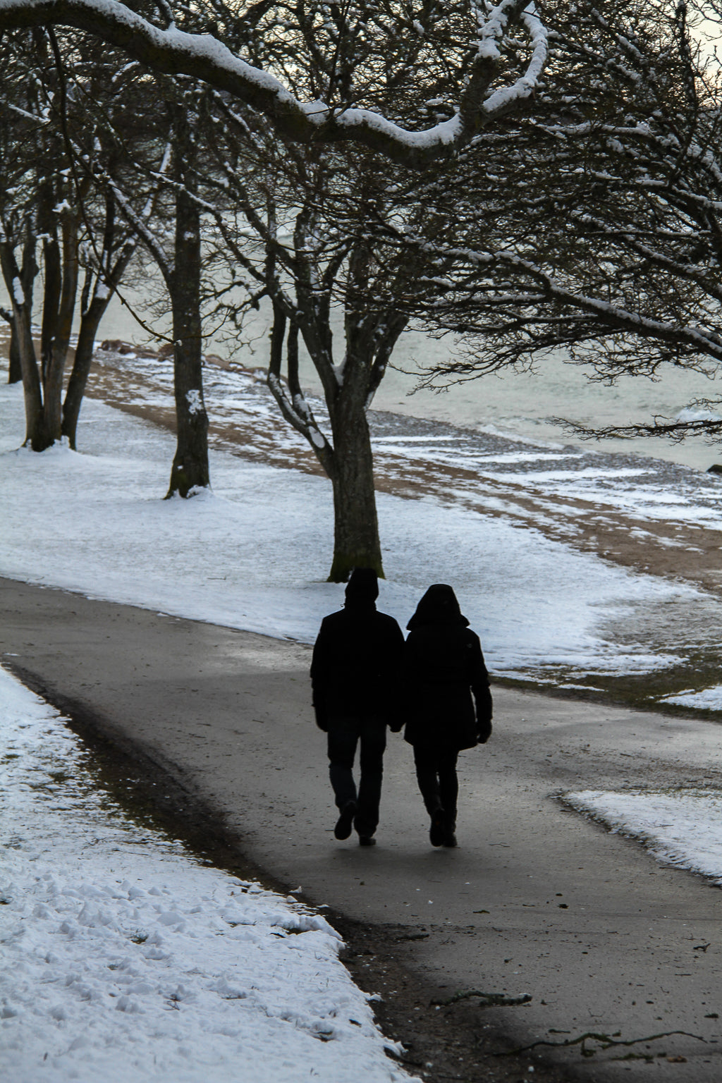 Two people walking on a snowy park path beneath bare trees.