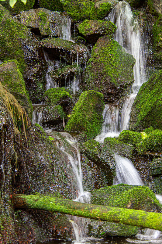 Water flowing in small cascades over dark, moss-covered rocks in a shaded forest setting.